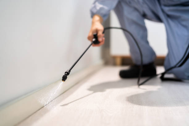 Licensed Pest Control service in Springfield, MO - Show Me Pest Control